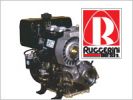 �������� ruggerini (�������� ���������)